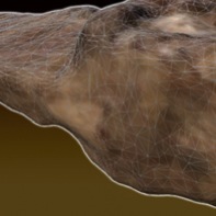 archeo3Dbutton